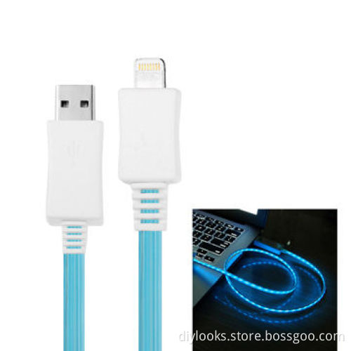 1m Blue Visible Light USB Sync Data Charging Cable for iPhone 5/iPad mini/iPod Touch 5/iPad 4